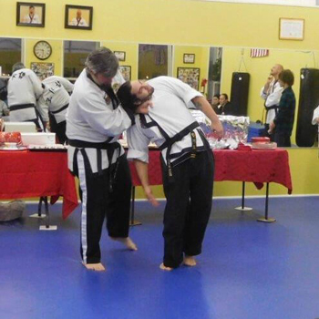 Tiger Martial Arts LLC