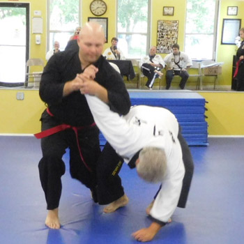 Tiger Martial Arts LLC