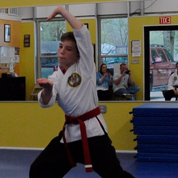 Tiger Martial Arts LLC