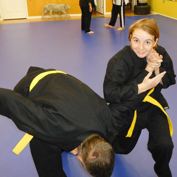 Yellow Belt Arm Bar