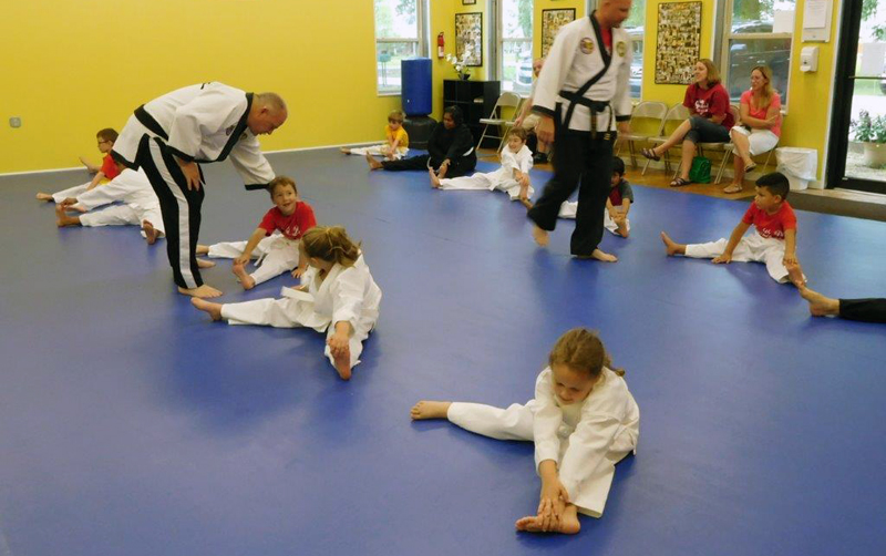 Junior hapkido