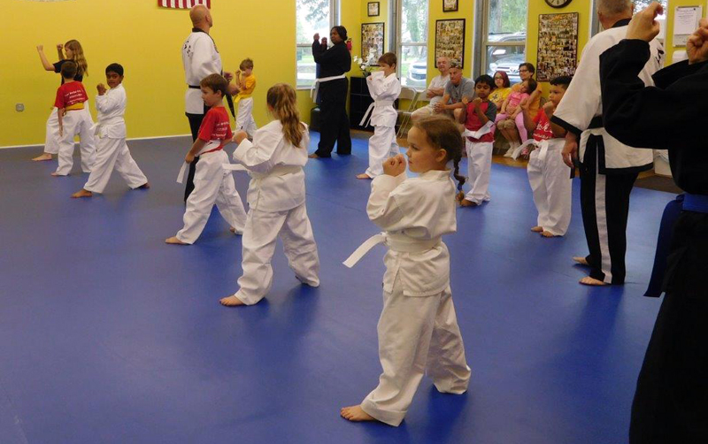 Junior hapkido