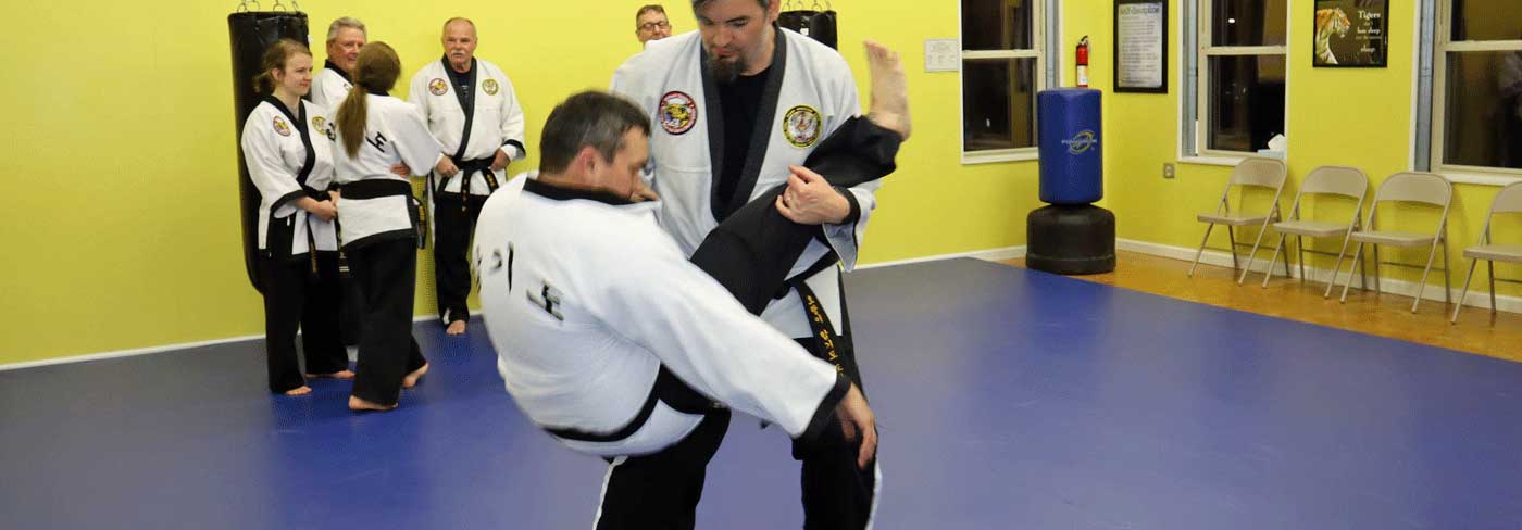 Tiger Martial Arts LLC